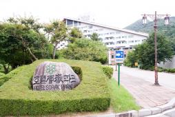 全景