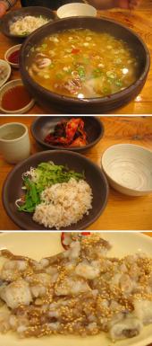 ナクチハンマリスジェビ（テナガダコ一匹すいとん）