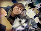 ハスキー犬と