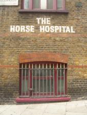 Horse Hospital
