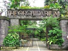 THE ORCHIDARIUM