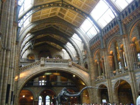 ロンドン自然史博物館 Natural History Museum ナチュラル ヒストリー ミュージアム ロンドンの観光 ユートラベルノート