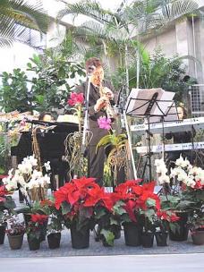 名古屋・栄にあるランの花を中心としたミニテーマパーク
