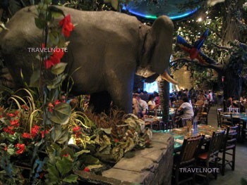 レインフォレスト・カフェ（ラスベガス店）,Rainforest Cafe｜アメリカ