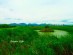 大渚生態公園写真