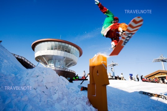 韓国を代表する世界規模のスキー場でウィンタースポーツを満喫!