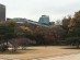 ソウル市庁写真