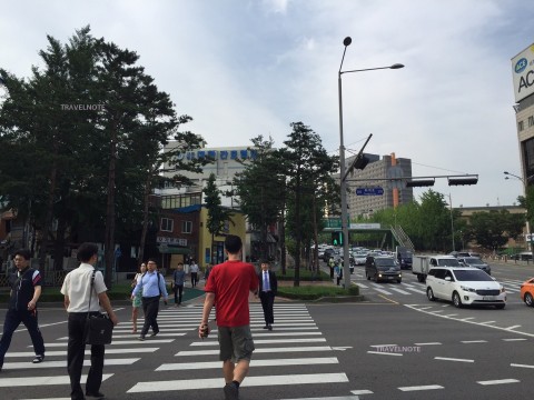 夏至、一年で最も日が長い日