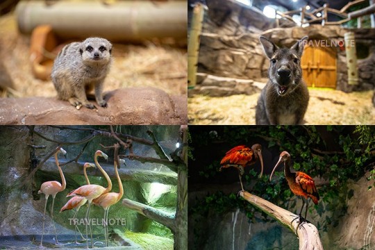 可愛い小動物たちと身近に触れ合える室内型動物園！