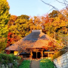藁葺き屋根が珍しい寺院