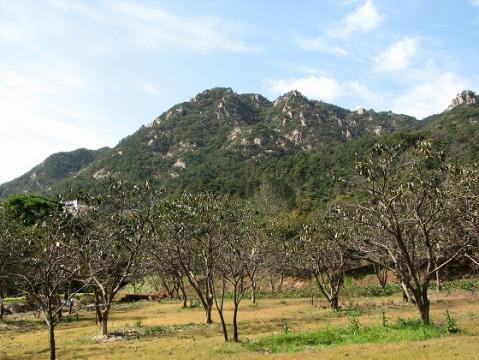 韓国では登山が人気です！ホンソン郡にある標高381mの山に登ってみませんか？