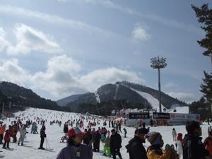 冬ソナの撮影地でもあるスキー場