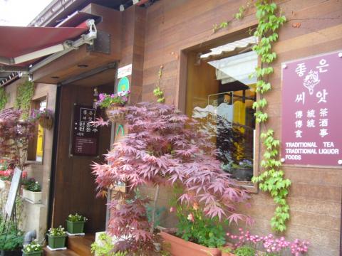 韓国語で「良い種」という名前のモダンな伝統茶のお店