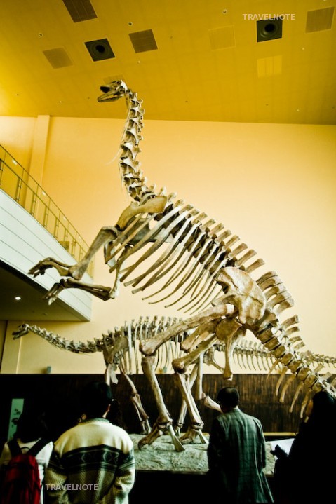 恐竜の足跡がそのまま残っている国内最大規模の恐竜博物館