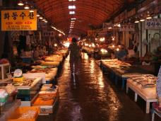 済州島の市場で新鮮な魚介類を食べよう！
