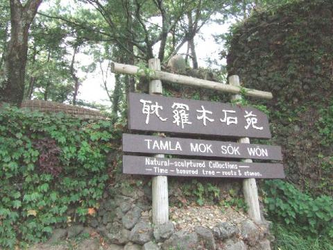 済州島の珍しい石や樹がたくさん展示されている