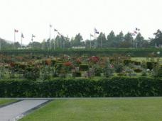 世界で唯一の国連軍の墓地