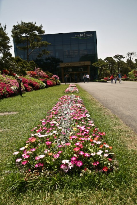 韓国庭園のほかヨーロッパ風の庭園もあり、たくさんの草花を楽しめます