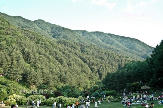 韓国の美を庭園という形に表現した所