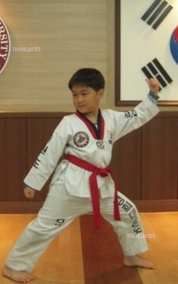 テコンドーは体全体を使って防御と攻撃の技術、そして精神鍛錬を行う韓国固有の武道