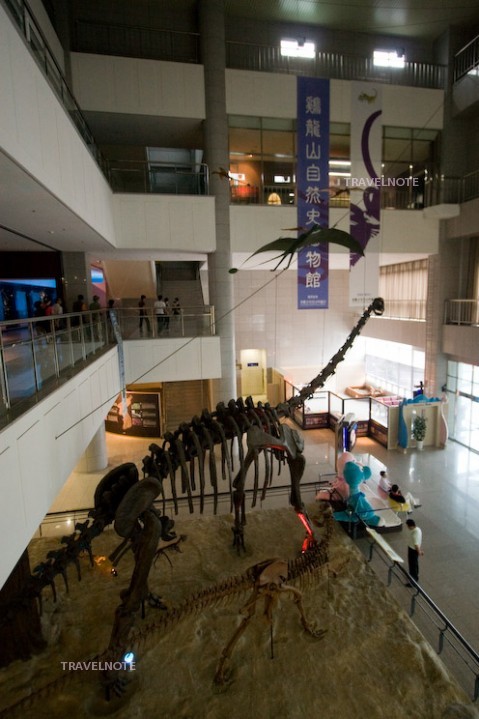 博物館にいる大きな恐竜