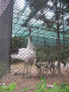 ビルが乱立する都会のど真ん中にある香港市民の癒し動植物公園