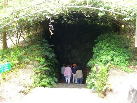 珍しい熱帯植物の観賞や洞窟散策ができます