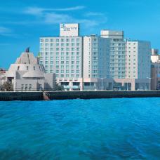 美しい済州の海が眺められる特級ホテル
