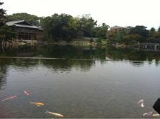 尾張徳川家の邸宅跡、池泉回遊式の日本庭園