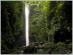 Harold's Ecolodge写真