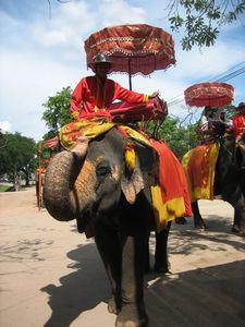 象に乗っての世界遺産「アユタヤ」鑑賞は格別！
