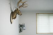 壁に鹿のオブジェと、照明がかかっている。