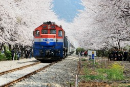 スタンプと共に韓国鉄道の旅