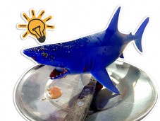 林蔭路大白鲨來襲！