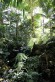 高知県立牧野植物園写真