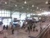 金海国際空港（国内線ターミナル）写真