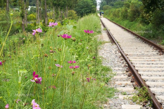 線路は続くよどこまでも