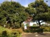 大井埠頭中央海浜公園写真