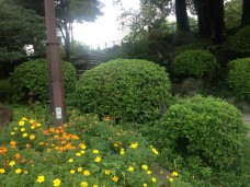 東京で韓国を満喫出来る韓国イベント開催地の公園
