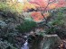 茅ヶ崎城址公園写真