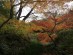 茅ヶ崎城址公園写真