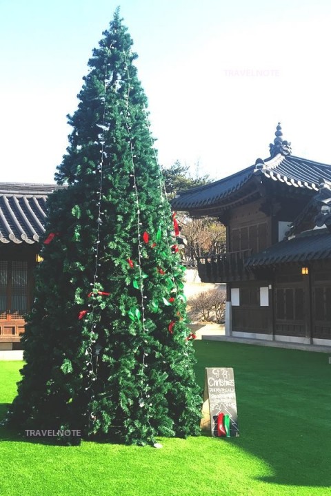 南山コル韓屋村にツリー登場