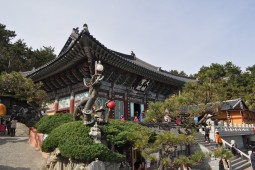 釜山東部海辺の観光名所を巡り、甘川文化村と繁華街、港町ならでのお好きな韓国料理を満喫