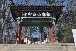 慶州と海印寺にある３つの世界文化遺産を釜山から日帰りで巡る
