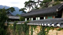 韓国三大寺刹の１つ通度寺や庵で自然に触れ、心身のリラクゼーションができる1日ツアー