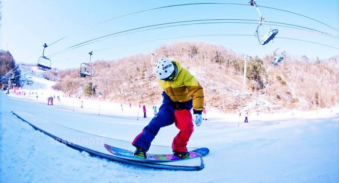 在首尔近郊体验滑雪行程, 可以选择添加南怡岛的套餐!