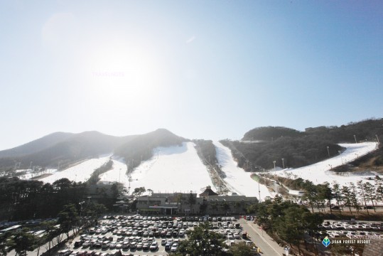带您到距离首尔只需要1小时左右的芝山滑雪场, 各种套餐供您选择.