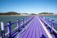 紫に染まる島新安島in全羅南道Purple島写真