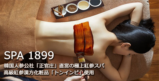 SPA1899 (旧：SPA G)